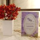 Sachê Cabide Envelope Grande 20 g- lavanda