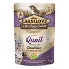 Sachê Molhado Carnilove Codorna Dente-de-Leão para Gatos Esterilizados 85g Sachê Molhado Carnilove Codorna Dente-de-Leão para Gatos Esterilizados 85g