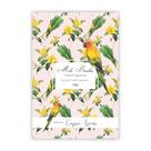 Sache perfumado 34g mels brushes capim limao