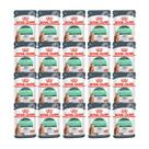Sachê Royal Canin Care Digestive Para Gatos 85G Caixa - 20Un
