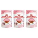 Sachê Royal Canin Kitten Alimento Úmido para Gato Filhote Caixa com 3 Sachês