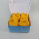 Sachê Tulipa Sachê Tulipa