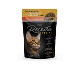 Sache umido receita especial p/ gatos (15un x 70g)