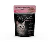 Sache umido receita especial p/ gatos (15un x 70g)