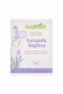 Sachês Perfumado Carro Gaveta Armario - Faça Sua Escolha ENVELOPE PERFUMADO:LAVANDA INGLESA