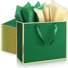 Saco de presente ReliThick Metallic Papel 30x25x10cm com lenço de papel, pacote com 12