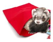 Saco Dormir Sem Pele Roedores, Ferrets, Twister Animalíssimo