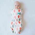 Saco ErgoPouch Cocoon Swaddle 0,2 TOG 3-6 meses