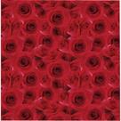 Saco Perolado Beauty 20x29 Pct C/50un 99275453