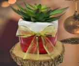 Saco Vaso Natal Com Laco Em Ceramica Feliz Natal Saco Vaso Natal Com Laco Em Ceramica Feliz Natal