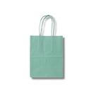 Sacola agua marine (17,5x8,5x21,5cm) c/ 10x10 un.