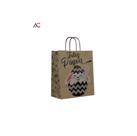Sacola Kraft para Presente - Estampa Pascoa - Kit 10 Unidades 39 x 32 x 19