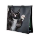 Sacola Reutilizável Gatinho 39x18x35com Bompack Sacola Reutilizável Gatinho 39x18x35com Bompack