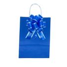 Sacolas Coloridas Média + Laço Luxo Para Presente e Embalagem 10 Unidades