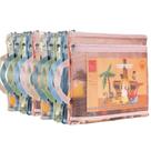Sacos de armazenamento TrueLux, bolsa de malha colorida com zíper, pacote com 10 Sacos de armazenamento TrueLux, bolsa de malha colorida com zíper, pacote com 10