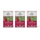 Sacos de chá Tea ORGANIC INDIA Tulsi Cinnamon Rose, 18 sacos x 3 pacotes