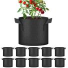 Sacos de cultivo de plantas HealSmart, pacote de 3 galões e 10 com alças pretas