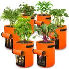 Sacos de cultivo Planter Gardzen de 10 galões, pacote com 6 alças