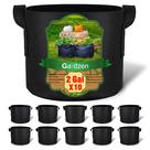 Sacos de cultivo Planter Gardzen de 2 galões, pacote com 10 vasos de tecido
