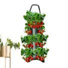 Sacos de cultivo suspensos SHZONS para tomate, pimenta, erva e morango