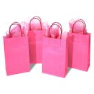 Sacos de presente DjinnGlory Hot Pink Paper com alças, pacote com 24