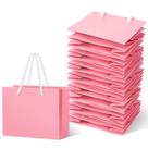 Sacos de presente Fainne Pink Mini 24 unidades com alça de papel de 10x12x6cm Sacos de presente Fainne Pink Mini 24 unidades com alça de papel de 10x12x6cm