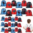 Sacos de presente Goodie Lothee Spider Spiderweb 30 unidades para festa