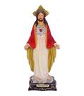 Sagrado Coração de Jesus 20cm Sagrado Coração de Jesus 20cm
