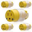 Saída do cabo de substituição do plugue elétrico ELEGRP 15A 125V Saída do cabo de substituição do plugue elétrico ELEGRP 15A 125V