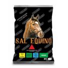 Sal Equino Mineral Microminerais Suplementar Cavalo 5 kg - Agromix