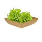Saladeira Quadrada 2,9 Lt Travessa Petisqueira Marrom Claro