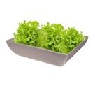 Saladeira Quadrada 2,9 Lt Vasilha Petisqueira Cinza