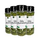Salsa Desidratada 100% Pura Premium Sabor Autêntico Pote com Dosador Kit 4 20g