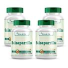 Salsaparrilha Cápsulas 500Mg 100% Natural Kit 4 Potes