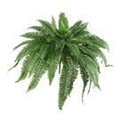 Samambaia artificial de Boston quase natural de 48 cm com 67 folhas Samambaia artificial de Boston quase natural de 48 cm com 67 folhas