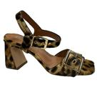 Sandála Jorge Bischoff Feminina Onça Animal Print Couro Sandála Jorge Bischoff Feminina Onça Animal Print Couro