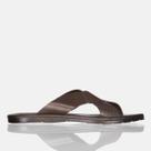 Sandália Masculina Chinelo Casual Detalhe Tira Moda Verão Casa Estilo e Conforto Café