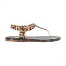 Sandália Melissa Jelly Gloss Sandal Adulto Preto/Bronze