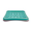 Sanitário Higiênico Plast Pet Pipi Tapete Azul Turquesa