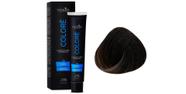 Sanliss Colorê 6.1 - Louro Escuro Acinzentado