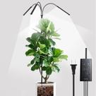 SANSI Luz de Cultivo LED de 3 Cabeças Espectro Completo 200 cm Ajustável