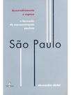 São paulo - desenvolvimento e espaco São paulo - desenvolvimento e espaco