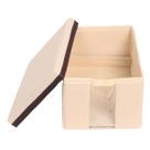 Sapateira individual com visor e tampa caixa infantil - L 15cm x A 11cm x P 22cm