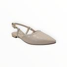 Sapatilha Slingback Bebecê Bico Fino Feminino Adulto Ref. T2019-121 Sapatilha Slingback Bebecê Bico Fino Feminino Adulto Ref. T2019-121