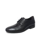 Sapato Masculino Democrata Pointer REF: 250104 COURO Sapato Masculino Democrata Pointer REF: 250104 COURO