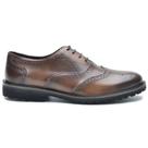 Sapato Masculino Oxford Brogue Wing Castor Sapato Masculino Oxford Brogue Wing Castor