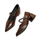 Sapatos Mary Jane Vintage Franceses Com Bico Fino Em Couro Premium, Salto Grosso E Fivela Decorativa