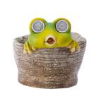 Sapo de resina de vaso de flores com olhos solares de LED, decoração de jardim