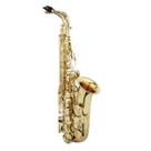 Sax alto jas510 gold lacquer - jupiter