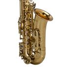 Sax Alto Laqueado Dourado SFT6430L - Shelter Sax Alto Laqueado Dourado SFT6430L - Shelter